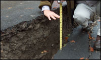 Typical Example of Slope Failure